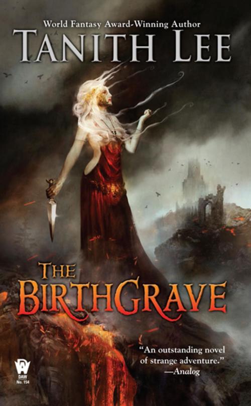 Cover of the book The Birthgrave by Tanith Lee, DAW