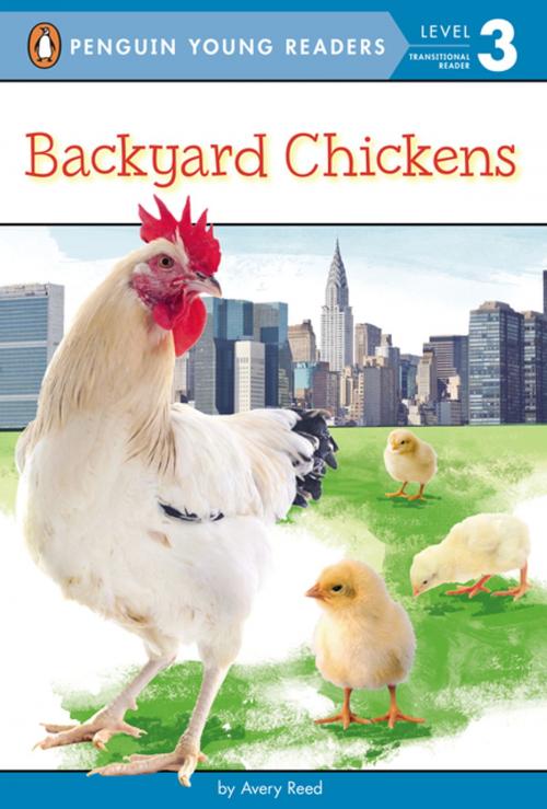 Cover of the book Backyard Chickens by Avery Reed, Penguin Young Readers Group
