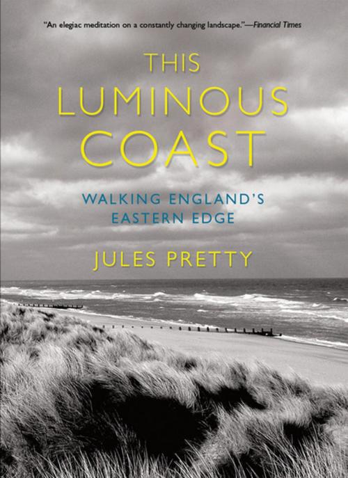 Cover of the book This Luminous Coast by Jules Pretty, Cornell University Press