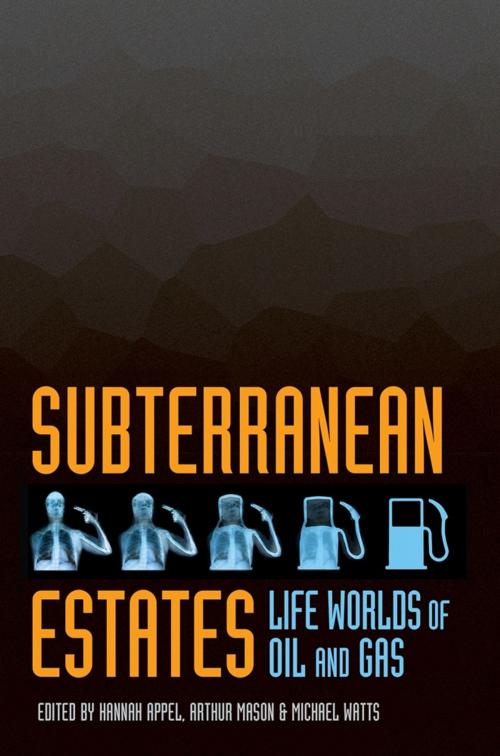 Cover of the book Subterranean Estates by , Cornell University Press