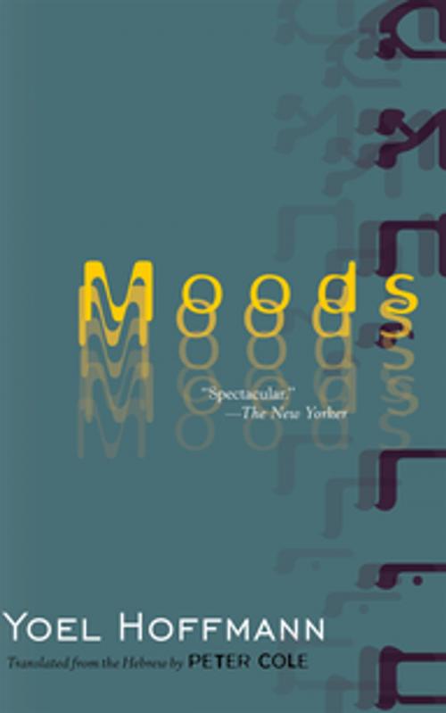Cover of the book Moods by Yoel Hoffmann, New Directions