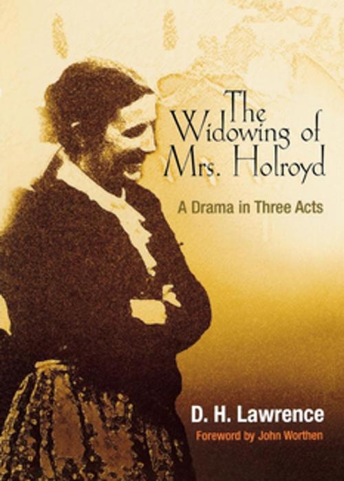 Cover of the book The Widowing of Mrs. Holroyd by D. H. Lawrence, University of Pennsylvania Press, Inc.