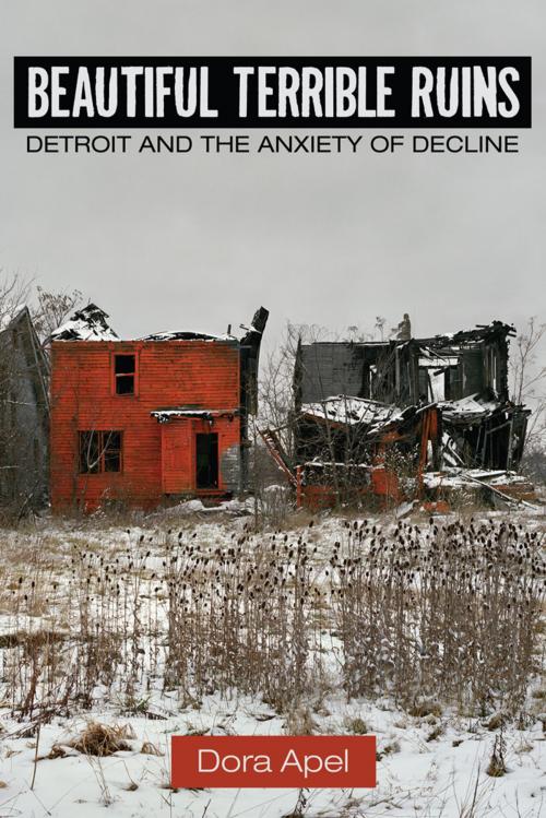 Cover of the book Beautiful Terrible Ruins by Dora Apel, Rutgers University Press