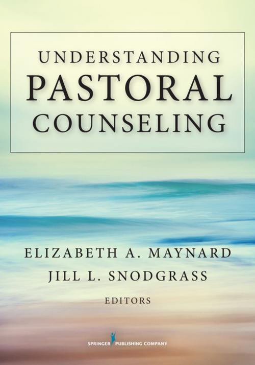 Cover of the book Understanding Pastoral Counseling by , Springer Publishing Company