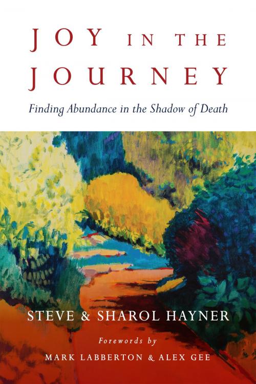 Cover of the book Joy in the Journey by Steve Hayner, Sharol Hayner, IVP Books