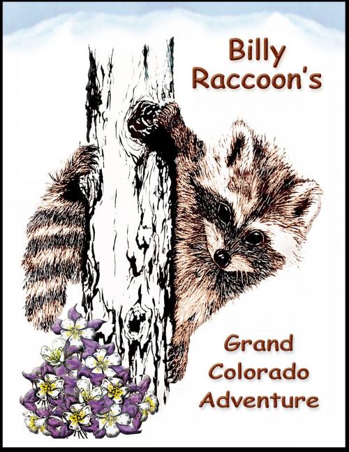 Cover of the book Billy Raccoon’s Grand Colorado Adventure by Sue Ross Allegrezza, Little Black Mask Publishing Company, LLC