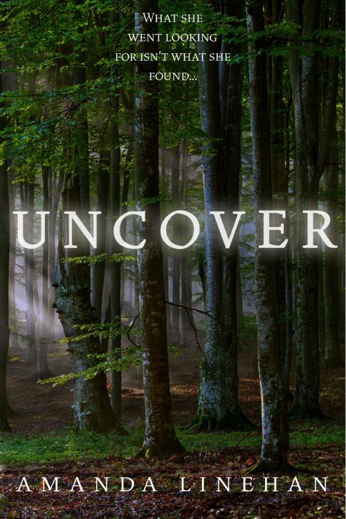 Cover of the book Uncover by Amanda Linehan, Amanda Linehan