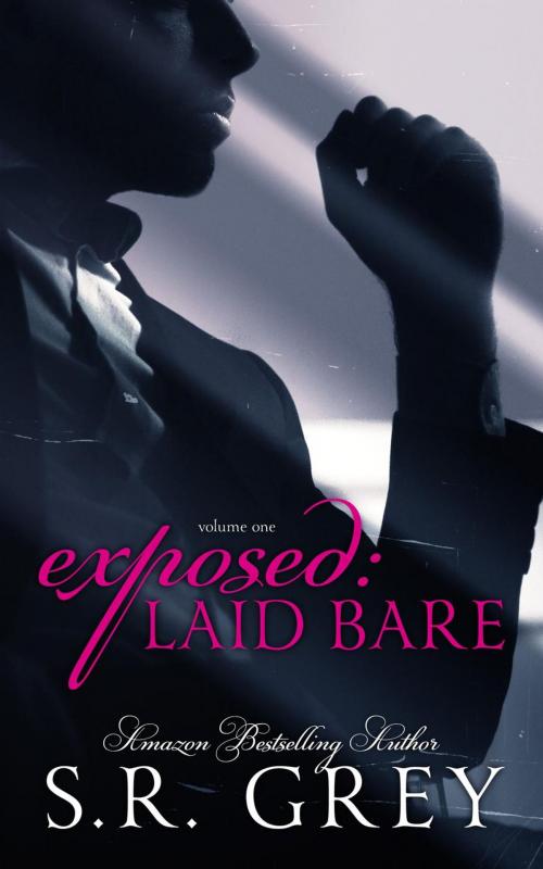 Cover of the book Exposed: Laid Bare #1 by S.R. Grey, S.R. Grey