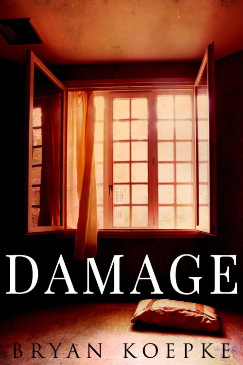 Cover of the book Damage by Bryan Koepke, Bryan Koepke