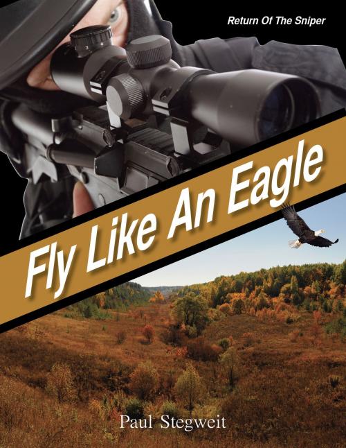 Cover of the book Fly Like An Eagle by Paul Stegweit, Paul Stegweit