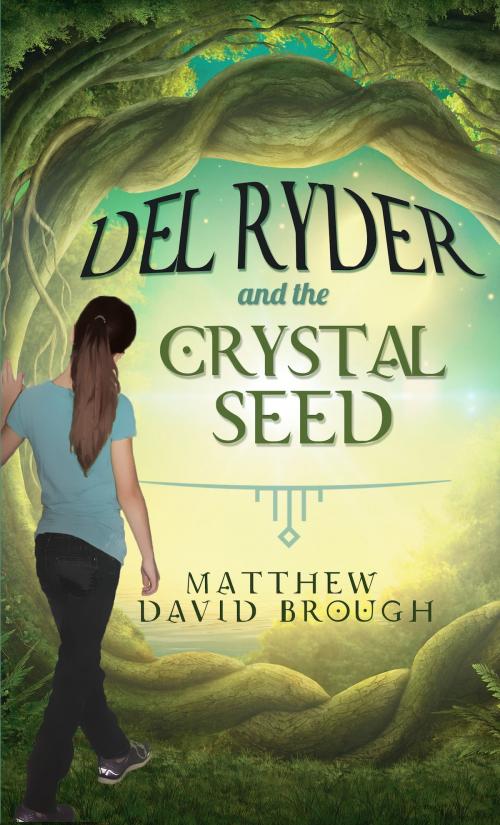 Cover of the book Del Ryder and the Crystal Seed by Matthew David Brough, Matthew Brough