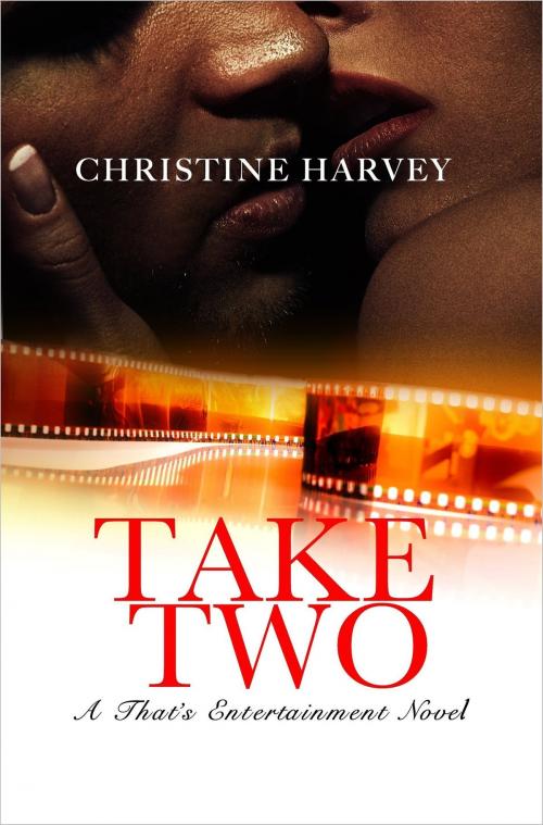 Cover of the book Take Two by Christine Harvey, Meadow View Press