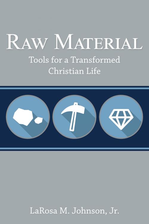 Cover of the book Raw Material by LaRosa M. Johnson, Jr., Urban Scholar Books
