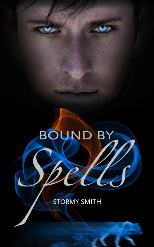 Cover of the book Bound by Spells by Stormy Smith, Perfect Storm Publishing, LLC