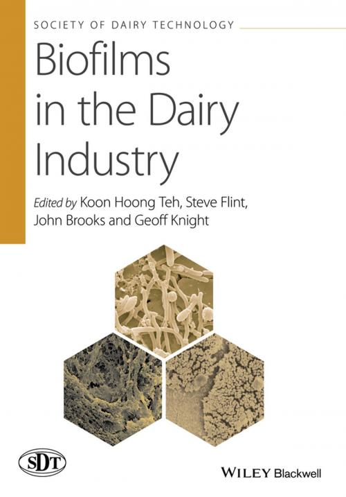 Cover of the book Biofilms in the Dairy Industry by , Wiley