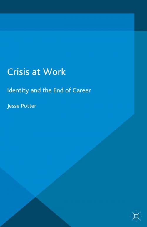 Cover of the book Crisis at Work by J. Potter, Palgrave Macmillan UK