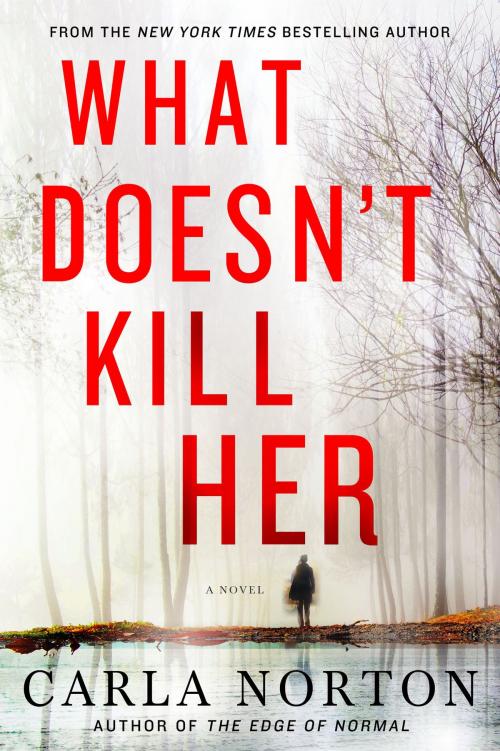 Cover of the book What Doesn't Kill Her by Carla Norton, St. Martin's Press