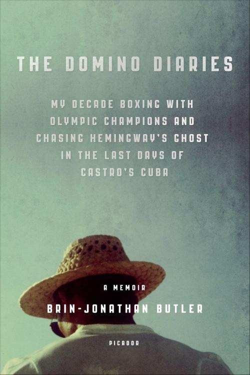 Cover of the book The Domino Diaries by Brin-Jonathan Butler, Picador