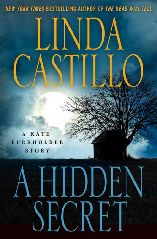 Cover of the book A Hidden Secret by Linda Castillo, St. Martin's Press