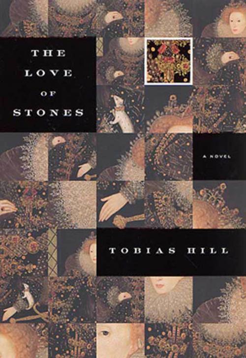 Cover of the book The Love of Stones by Tobias Hill, Picador