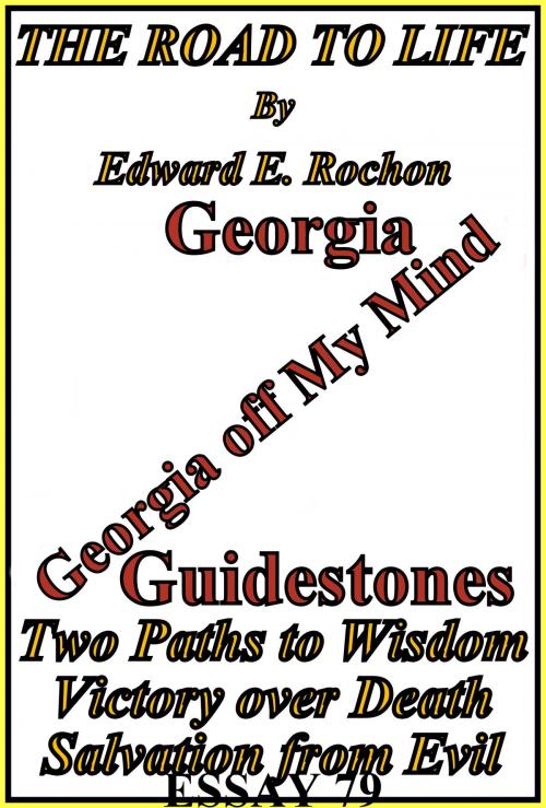 Cover of the book The Road to Life by Edward E. Rochon, Edward E. Rochon