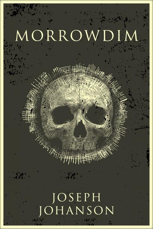 Cover of the book Morrowdim by Joseph Johanson, Joseph Johanson