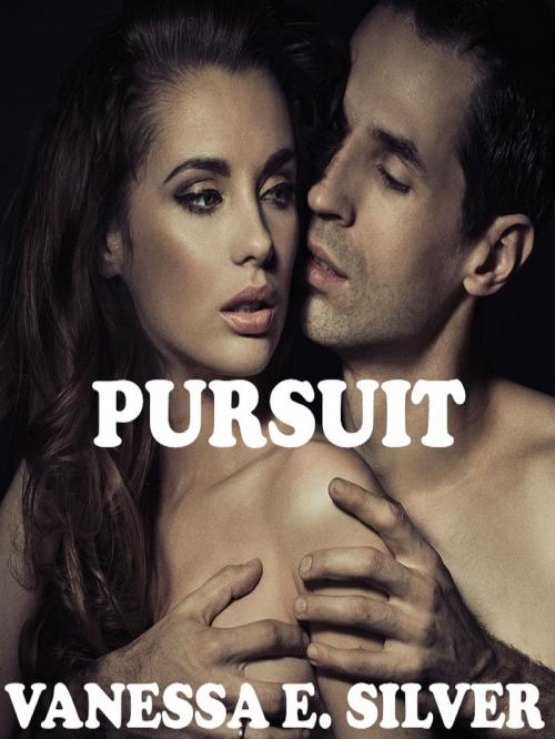 Cover of the book Pursuit by Vanessa  E. Silver, Elizabeth Reed