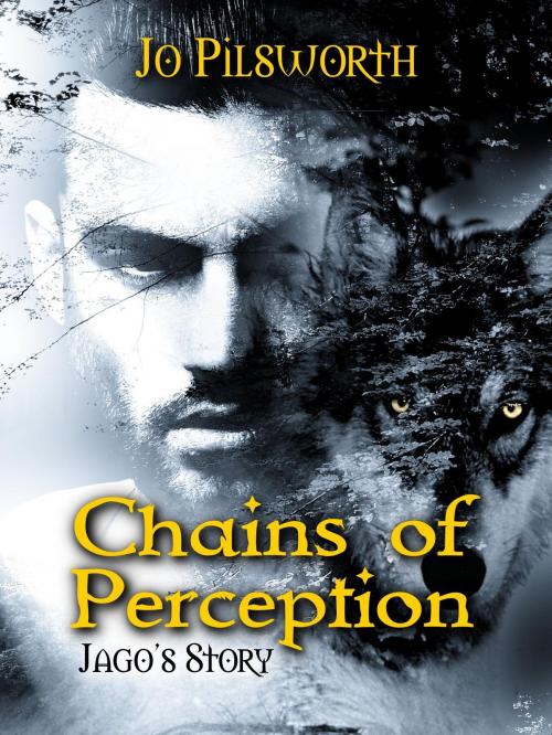 Cover of the book Chains of Perception by Jo Pilsworth, Jo Pilsworth