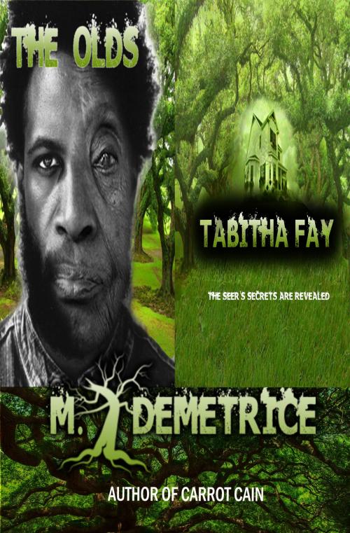 Cover of the book Tabitha Fay & The Olds by M. Demetrice, M. Demetrice