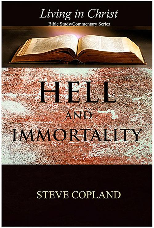 Cover of the book Hell and Immortality by Steve Copland, Steve Copland