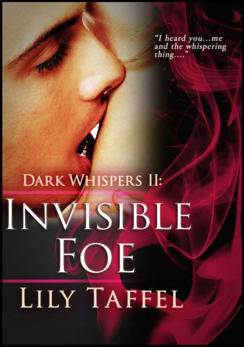 Cover of the book Dark Whispers 2: Invisible Foe by Lily Taffel, Sandra Ross