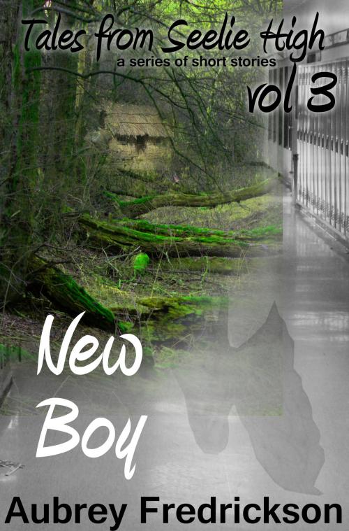 Cover of the book New Boy by Aubrey Fredrickson, Aubrey Fredrickson