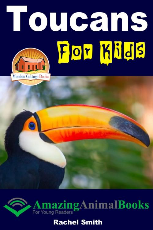 Cover of the book Toucans For Kids by Rachel Smith, Mendon Cottage Books