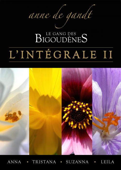 Cover of the book Le Gang des bigoudènes: L'Intégrale II by Anne de Gandt, Anne de Gandt