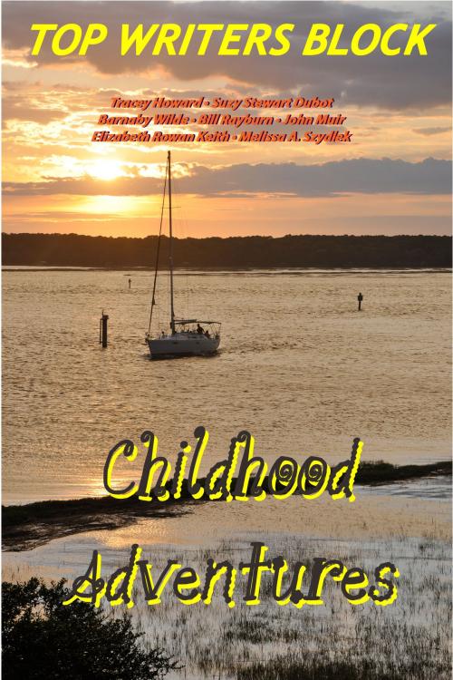 Cover of the book Childhood Adventures by Top Writers Block, Top Writers Block