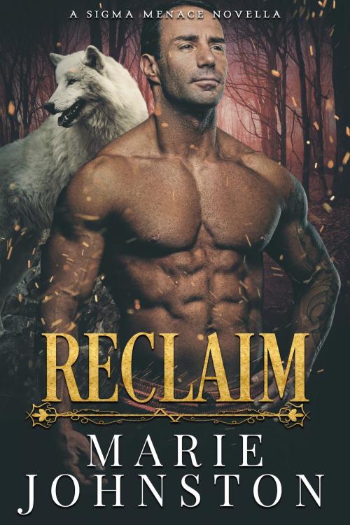 Cover of the book Reclaim by Marie Johnston, Marie Johnston