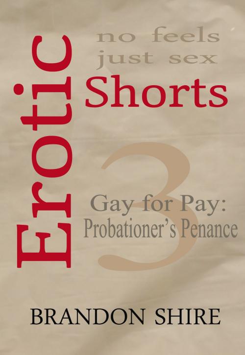 Cover of the book Erotic Shorts: Gay for Pay - Probationer's Penance by Brandon Shire, TPG Books