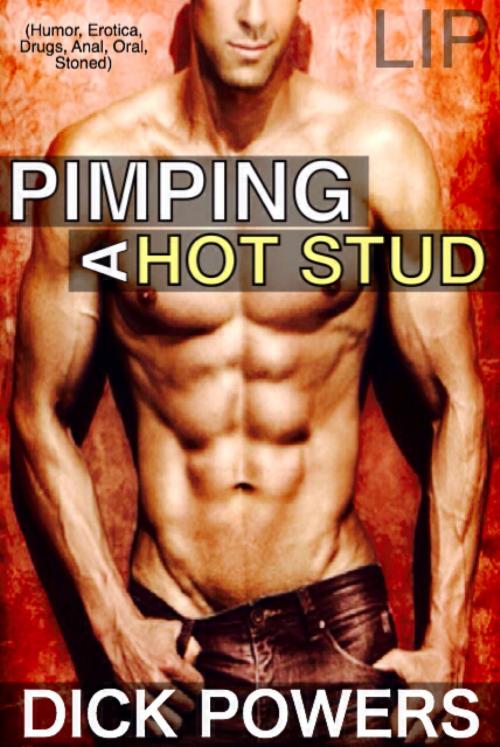 Cover of the book Pimping A Hot Stud (Humor, Erotica, Drugs, Anal, Oral, Stoned) by Dick Powers, Lunatic Ink Publishing