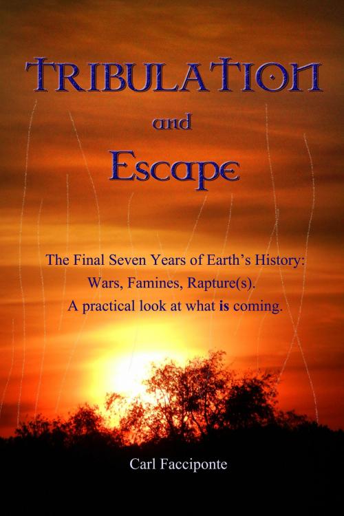 Cover of the book Tribulation and Escape by Carl Facciponte, Carl Facciponte