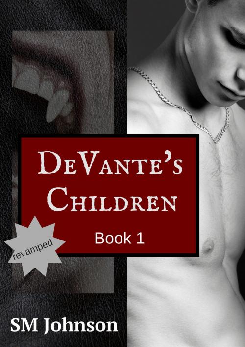 Cover of the book DeVante's Children (Revamped) by SM Johnson, SM Johnson
