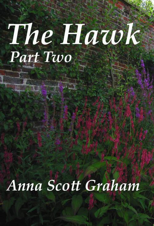 Cover of the book The Hawk: Part Two by Anna Scott Graham, Anna Scott Graham