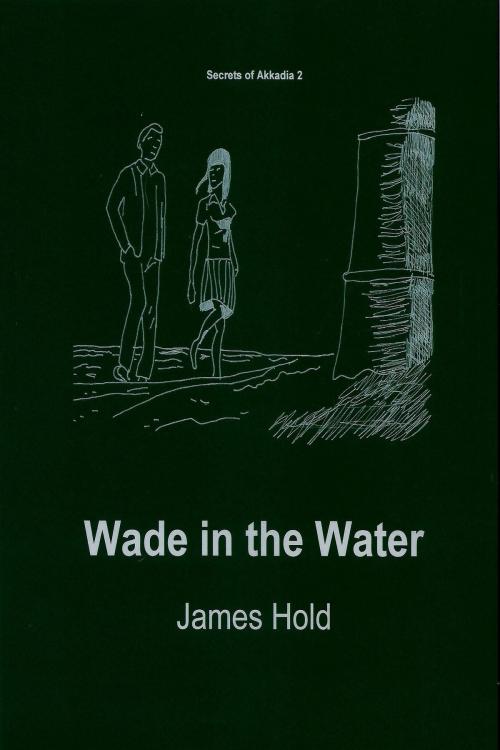 Cover of the book Wade in the Water by James Hold, James Hold