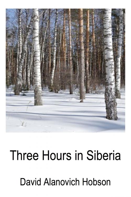 Cover of the book 3 Hours in Siberia by David Hobson, David Hobson