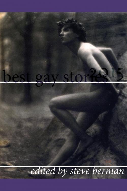 Cover of the book Best Gay Stories 2015 by Steve Berman, Lethe Press