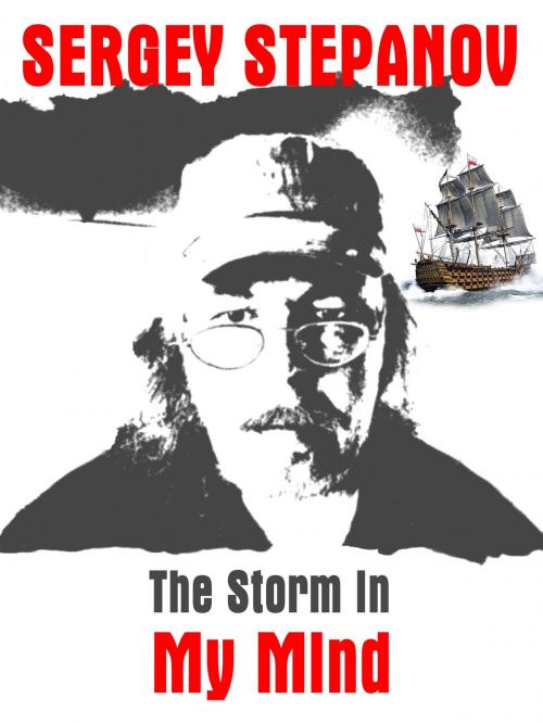 Cover of the book The Storm in My Mind by Sergey Stepanov, Sergey Stepanov