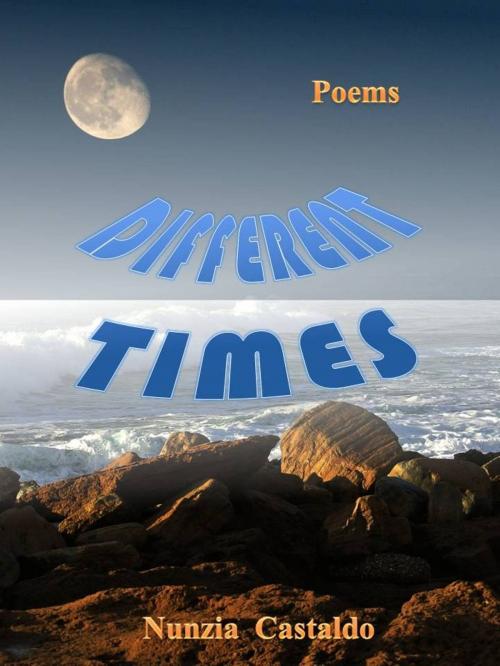 Cover of the book Different Times by Nunzia Castaldo, Nunzia Castaldo