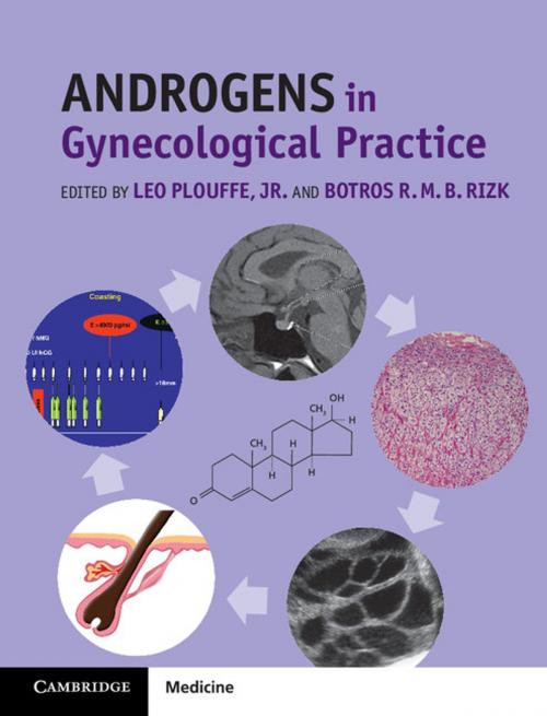 Cover of the book Androgens in Gynecological Practice by , Cambridge University Press