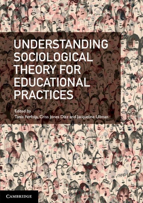 Cover of the book Understanding Sociological Theory for Educational Practices by Tania Ferfolja, Jacqueline Ullman, Criss Jones Díaz, Cambridge University Press