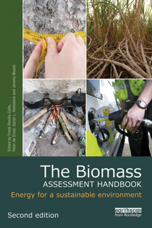 Cover of the book The Biomass Assessment Handbook by , Taylor and Francis
