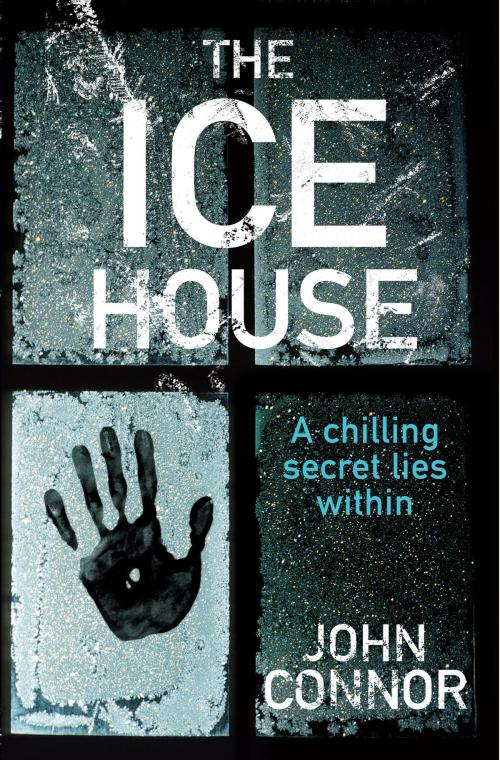 Cover of the book The Ice House by John Connor, Orion Publishing Group